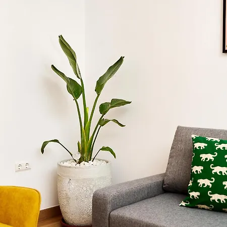 Que Bueno Que Viniste *