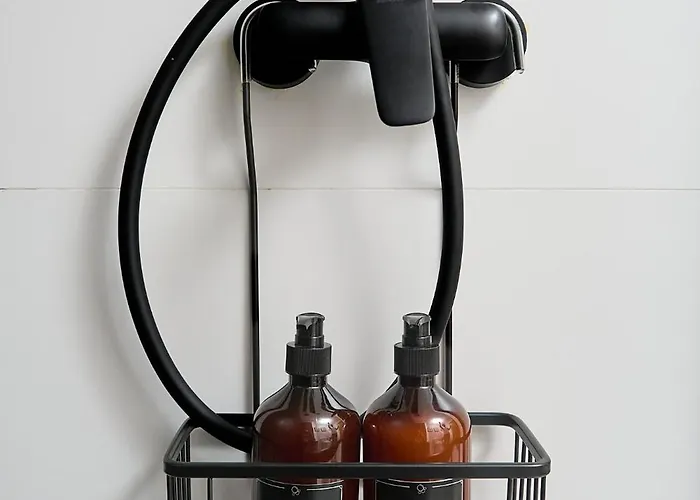 Que Bueno Que Viniste Caces